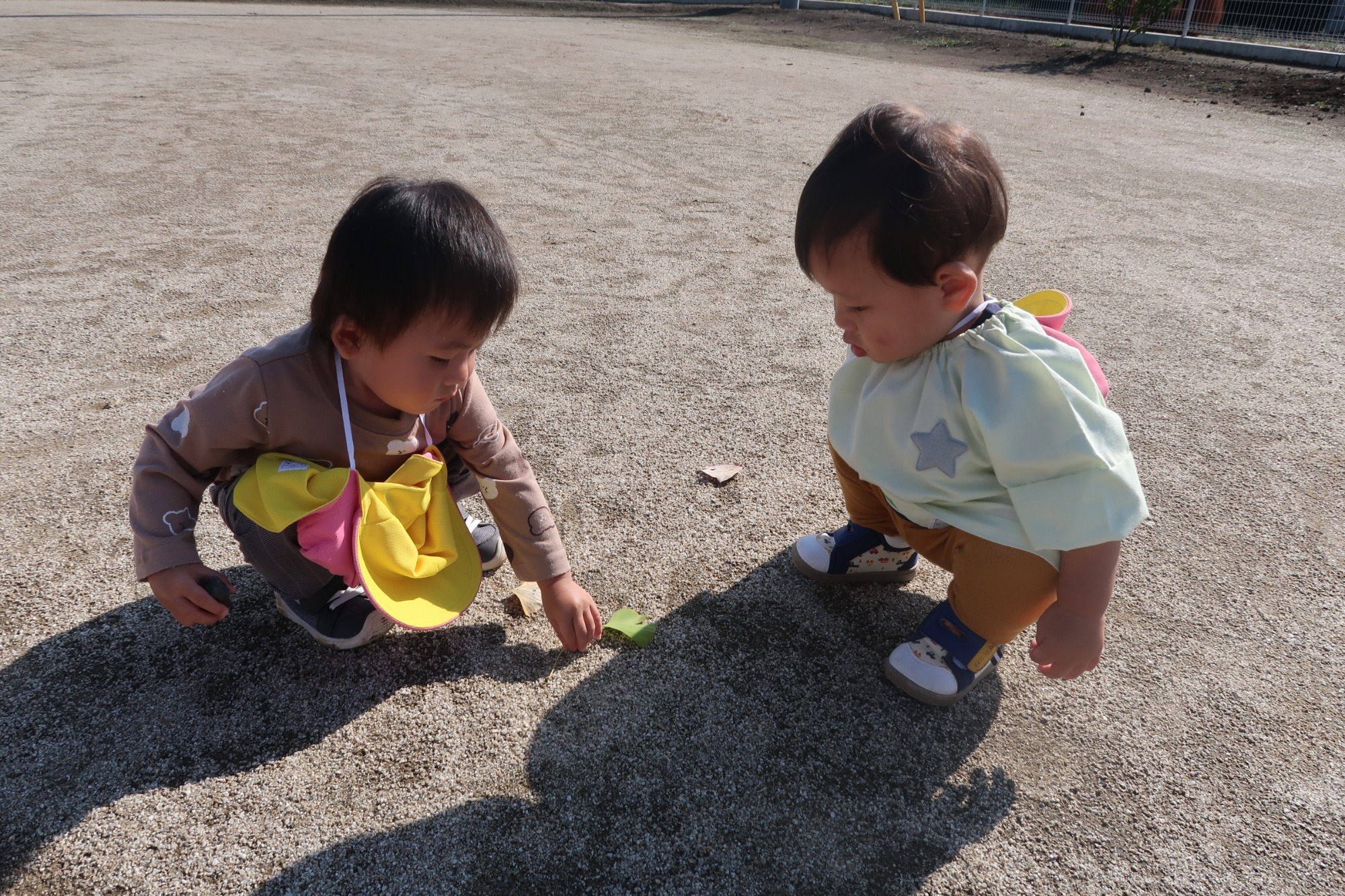 お天気の良い日にお散歩に行きました。