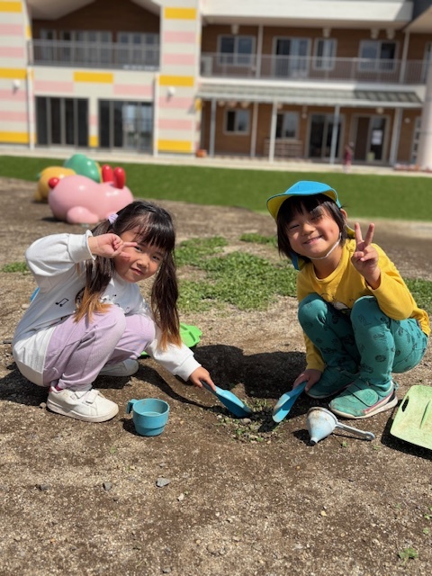 保育園の畑で収穫したさつま芋です。 かぼちゃみたいだね。