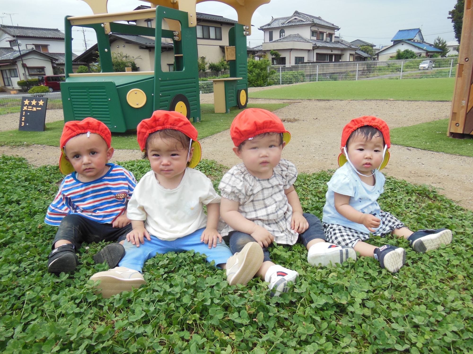保育園の畑で収穫したさつま芋です。 かぼちゃみたいだね。