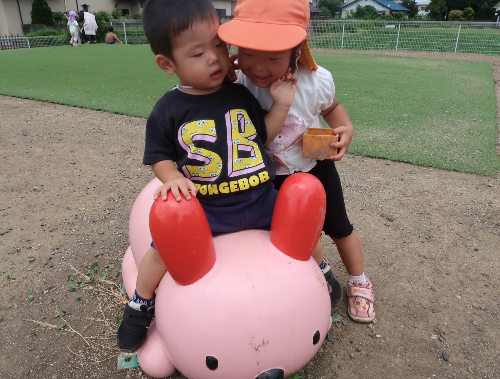 保育園の畑で収穫したさつま芋です。 かぼちゃみたいだね。