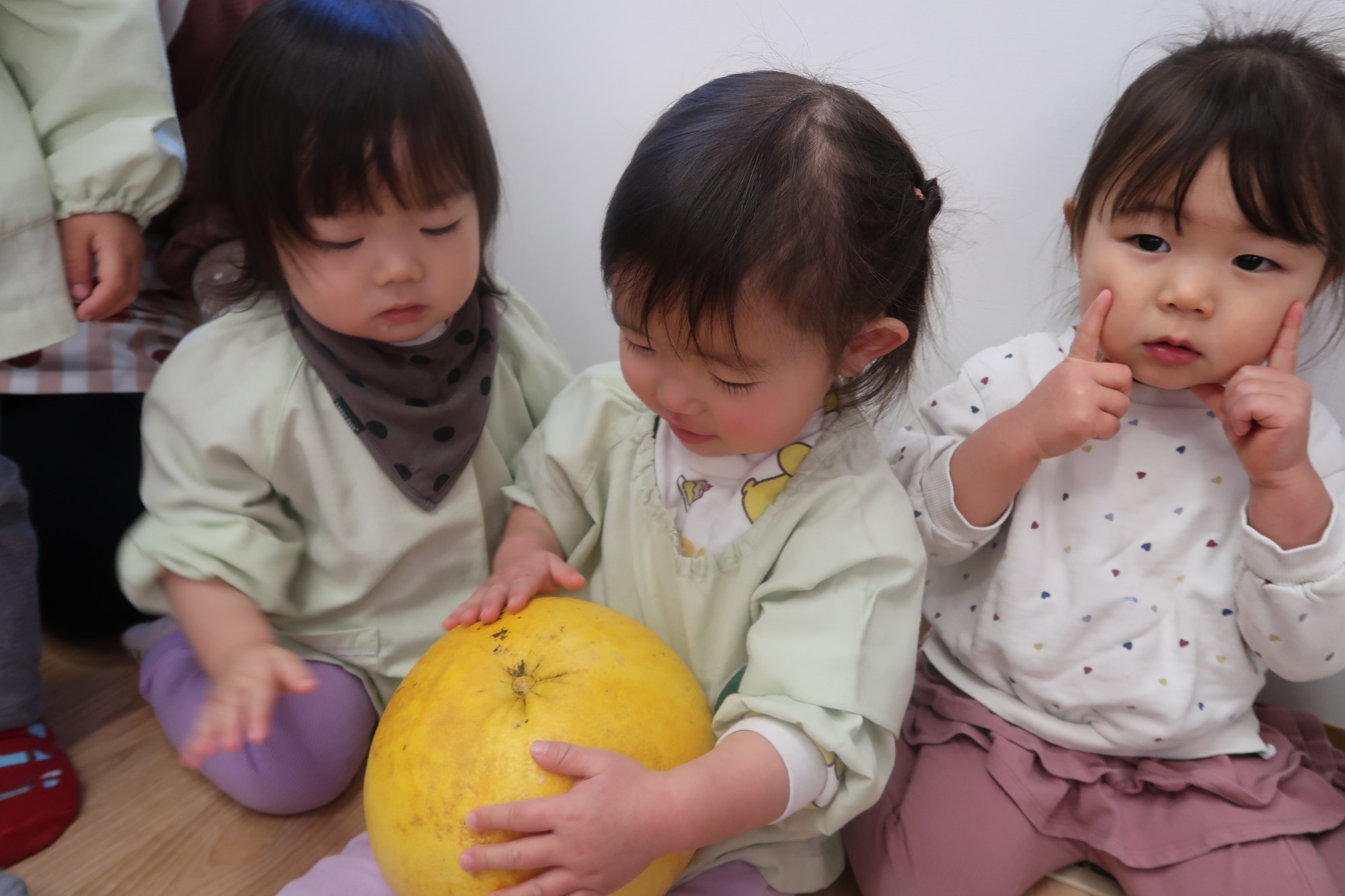 保育園の畑で収穫したさつま芋です。 かぼちゃみたいだね。