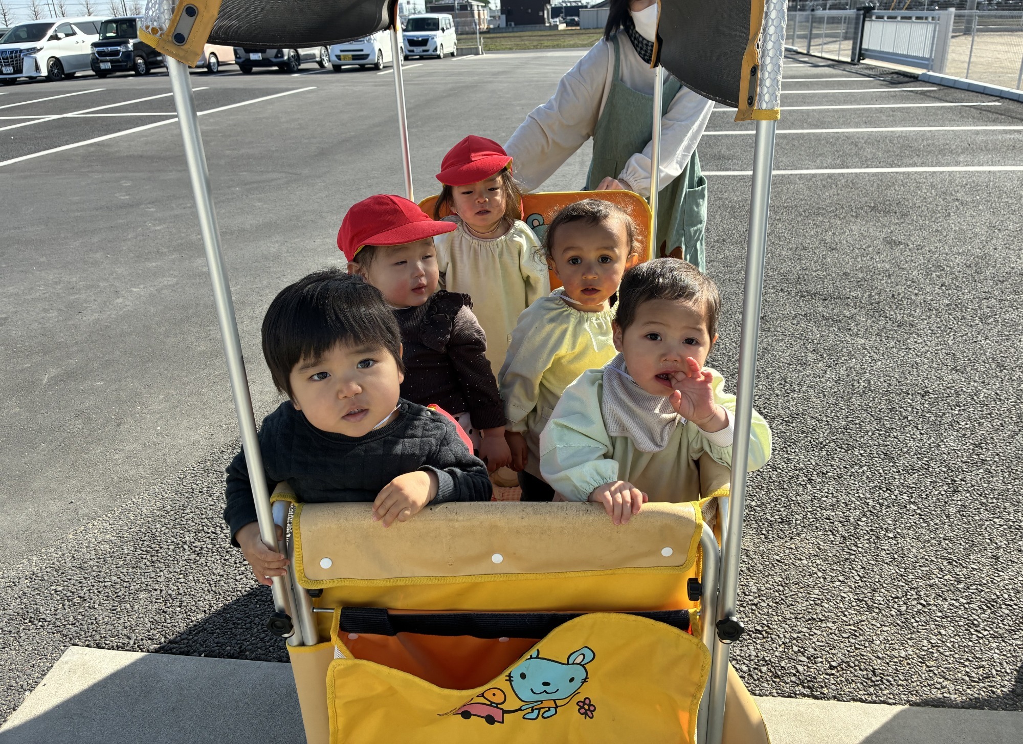 保育園の畑で収穫したさつま芋です。 かぼちゃみたいだね。