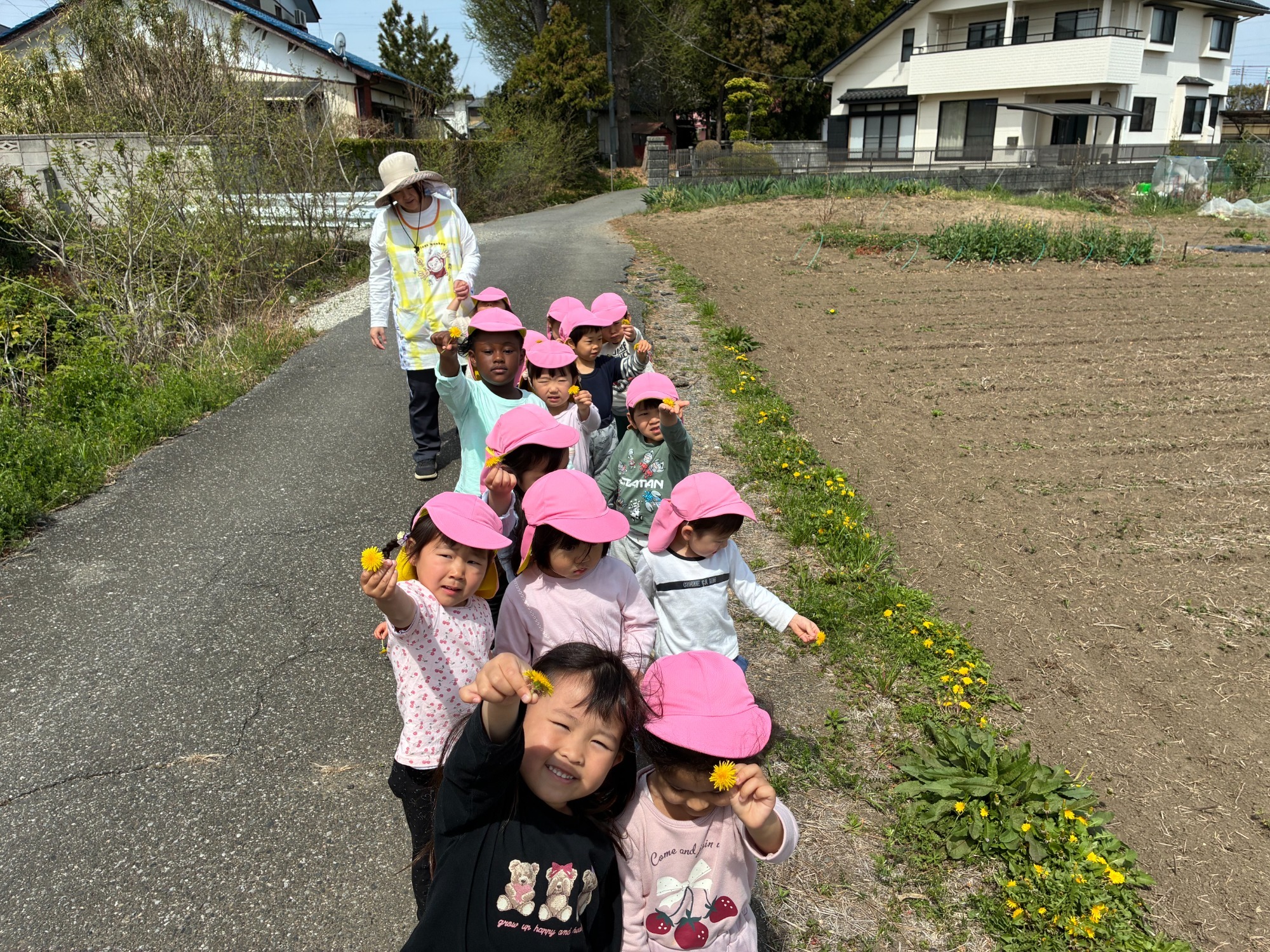 保育園の畑で収穫したさつま芋です。 かぼちゃみたいだね。